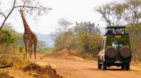 Is Uganda & Rwanda Safe for Safaris & Tours