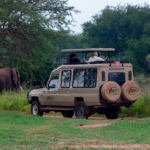 Africa Runners Company 4x4 Land Cruiser for Uganda Safari Tours